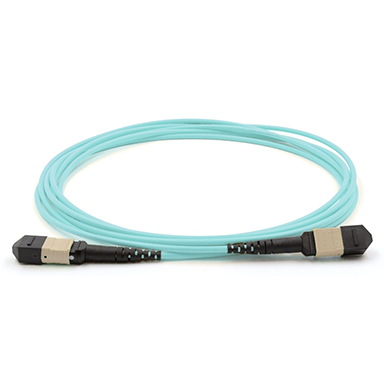 MPO/PC – MPO/PC Armored OM4 Patch Cord